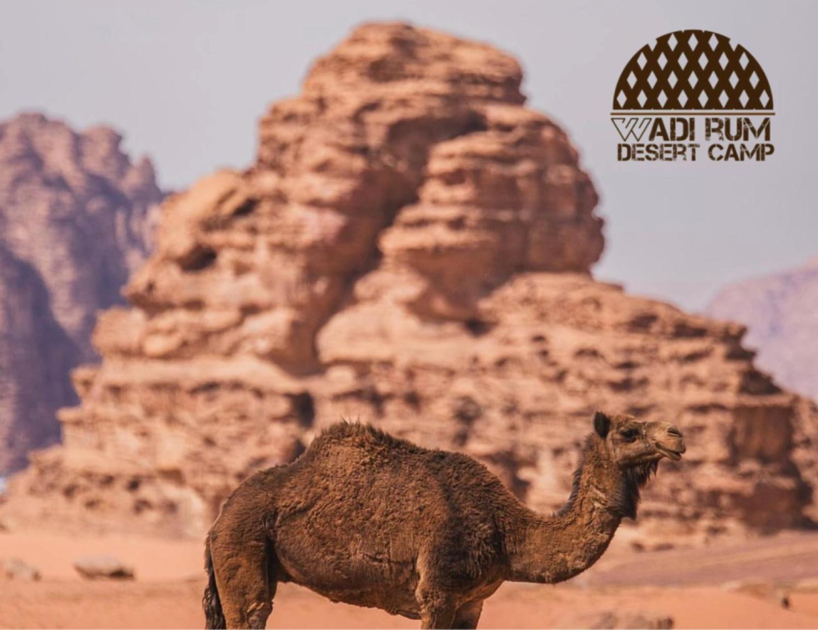 Wadi Rum Desert Camp Eksteriør billede